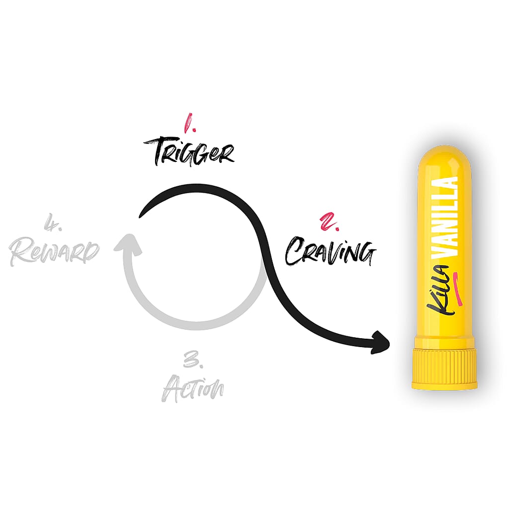 The Killa Vanilla 3-month habit-change programme