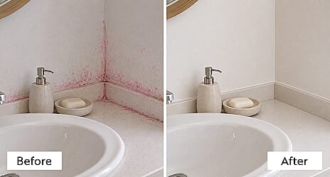 Mould removal before and after result