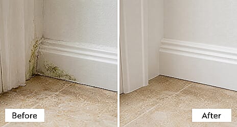 Mould removal before and after result