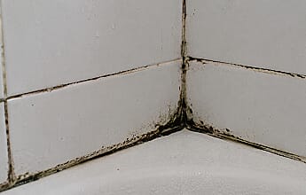 Mould Buster on shower tiles and bathroom grout