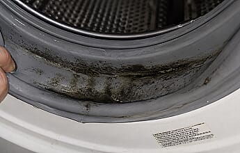 Mould Buster on washing machine rubber door seal