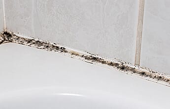 Mould Buster applied to silicone sealant in bath or shower