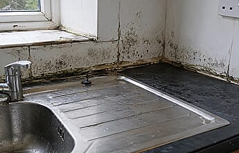Mould Buster safe to use on kitchen and bathroom surfaces