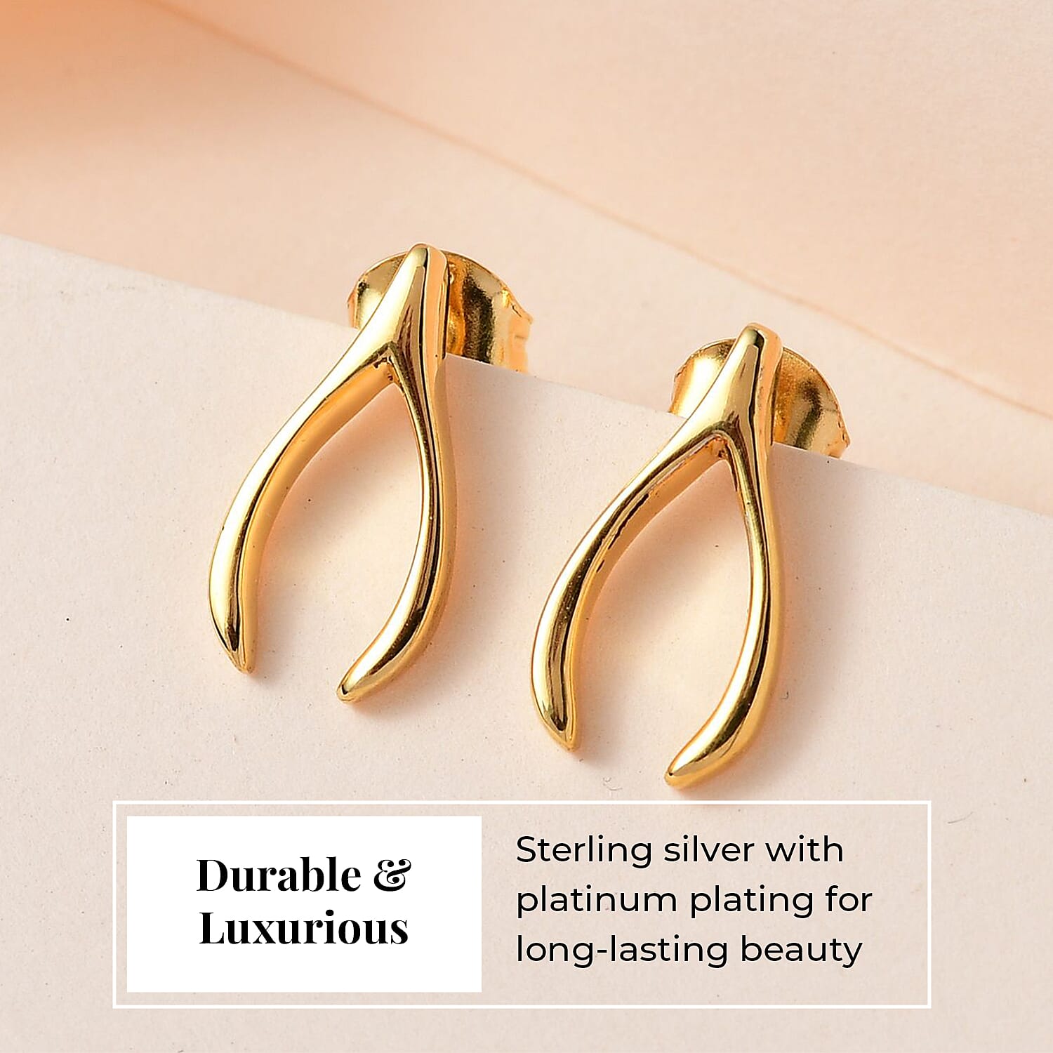 Fortune Favour Pendant with Chain (Size 20) and Stud Earrings (with Push Back) in Sterling Silver with 18K Vermeil Yellow Gold