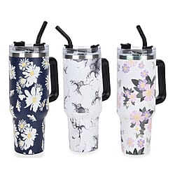 Insulated Steel Tumbler with Straw (1200ml)