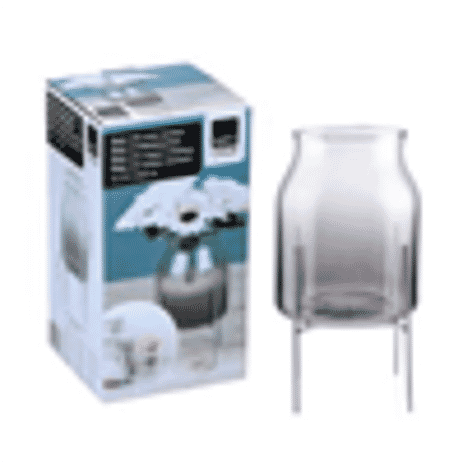 Set of 2 - Glass Vase