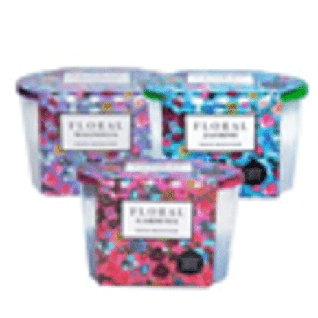 6 Pack Dehumidifier - Magnolia, Jasmine and Gardenia