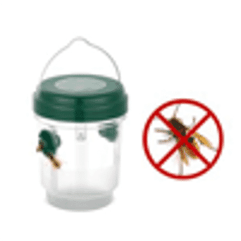 https://tjcuk.sirv.com/Products/22/1/221307409/Set-Of-2-No-More-Wasps_221307409.jpg?w=342&h=342