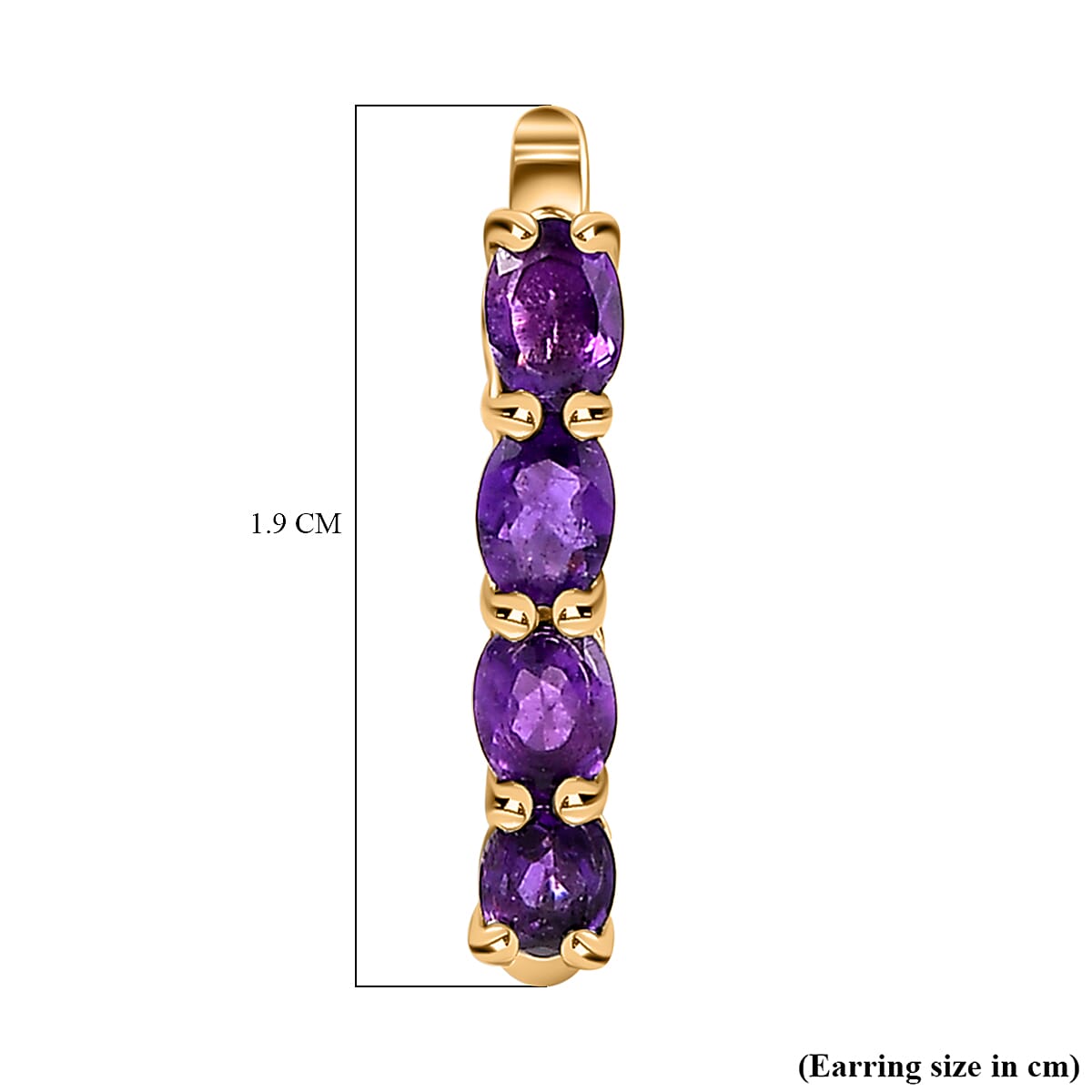 Amethyst February Birthstone Hoop Earrings Bundle in Platinum Plated Sterling Silver