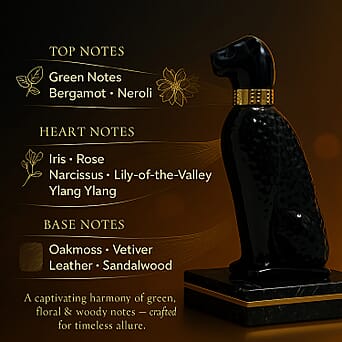 https://tjcuk.sirv.com/Products/22/1/221319153/221319153_1.jpg?w=342&h=342