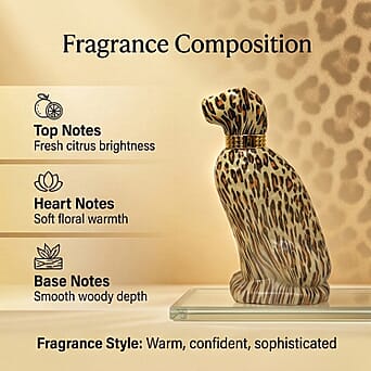 https://tjcuk.sirv.com/Products/22/1/221319153/221319153_2.jpg?w=342&h=342