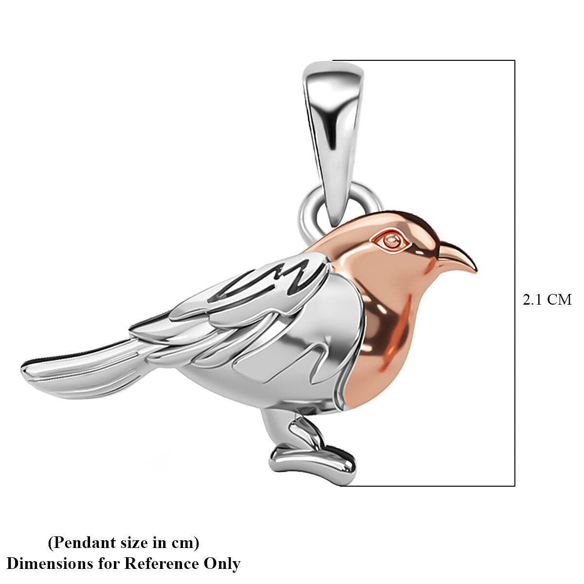 Silver robin store charm