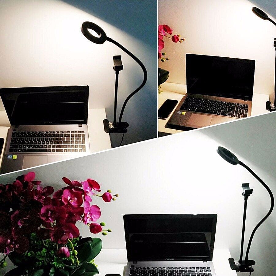 2-in-1 Portable Light (3 Lighting Modes) with Cell Phone Holder