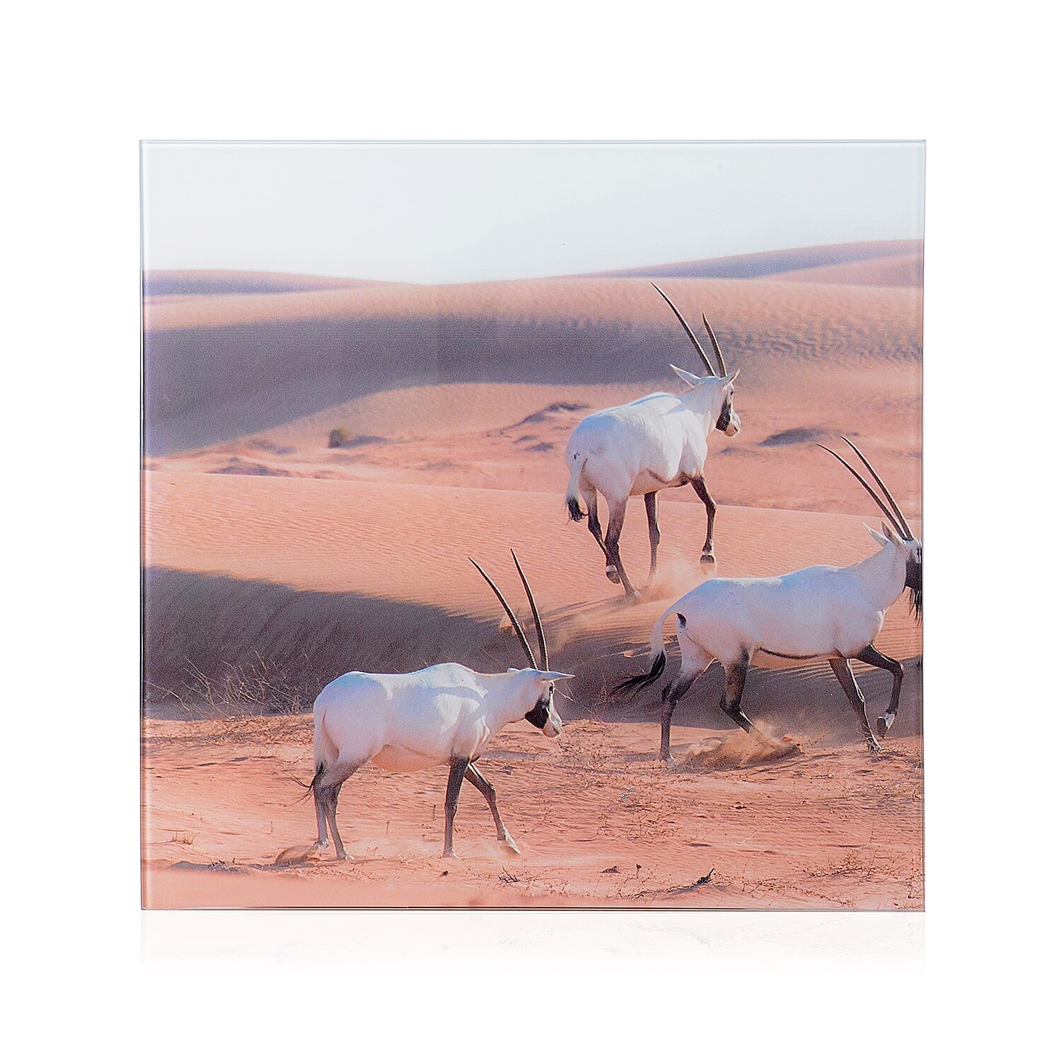 Home Designs: Antelope Pattern Three Piece Wall Clock (Size 90x30x4 Cm)