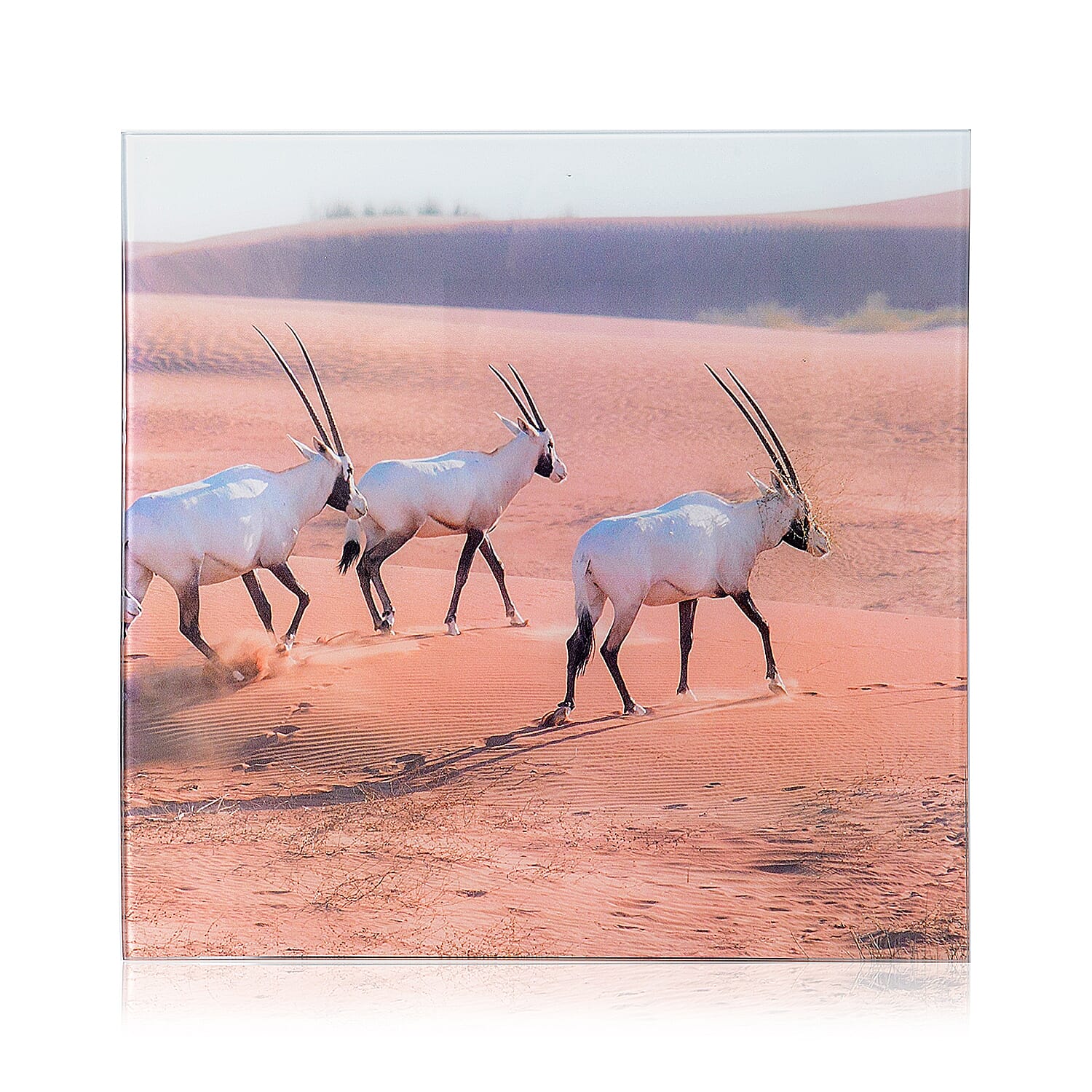 Home Designs: Antelope Pattern Three Piece Wall Clock (Size 90x30x4 Cm)