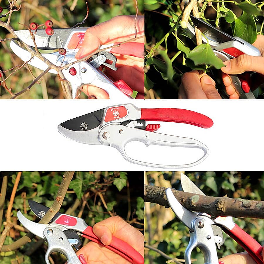 Jardin De France Ratchet Secateur (L-20cm)