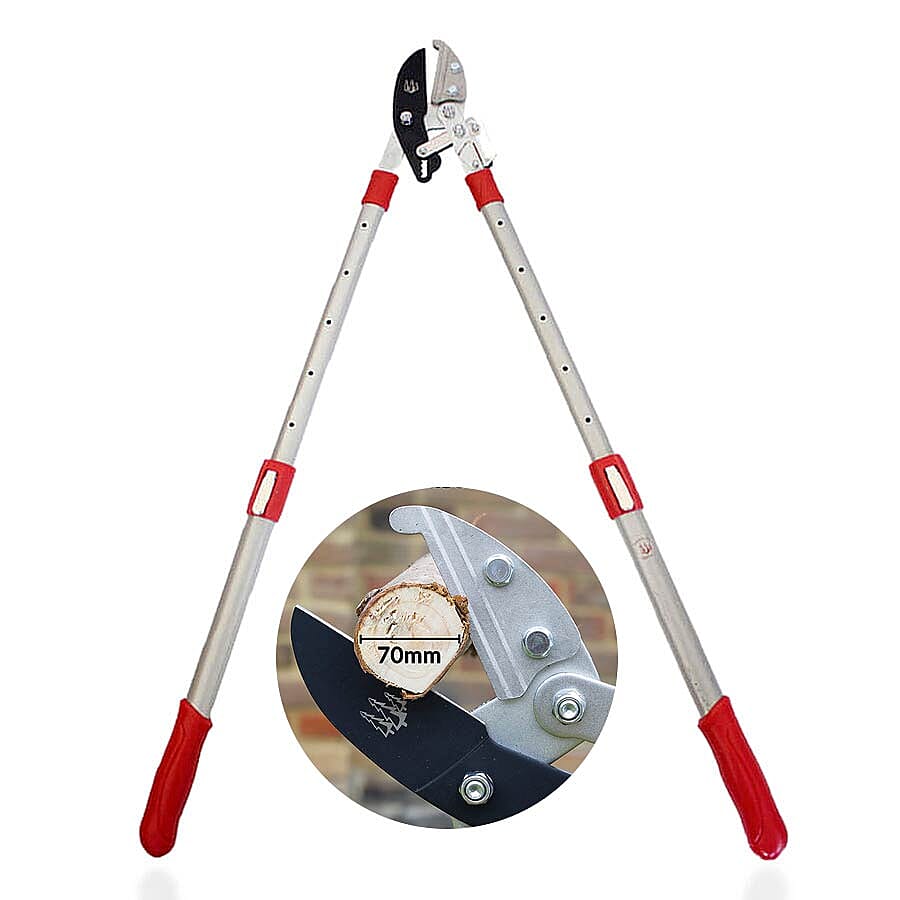 Jardin De France Lopper (Cutting up to 70 mm diameter) (L: 70-100 mm)