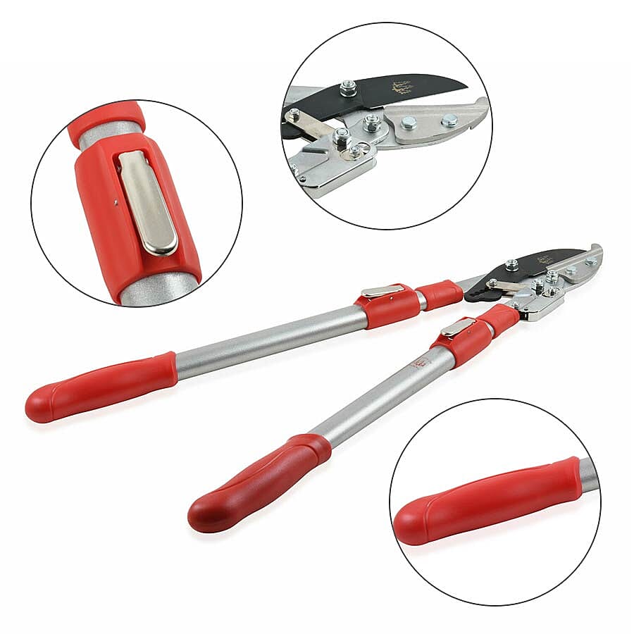 Jardin De France Lopper (Cutting up to 70 mm diameter) (L: 70-100 mm)