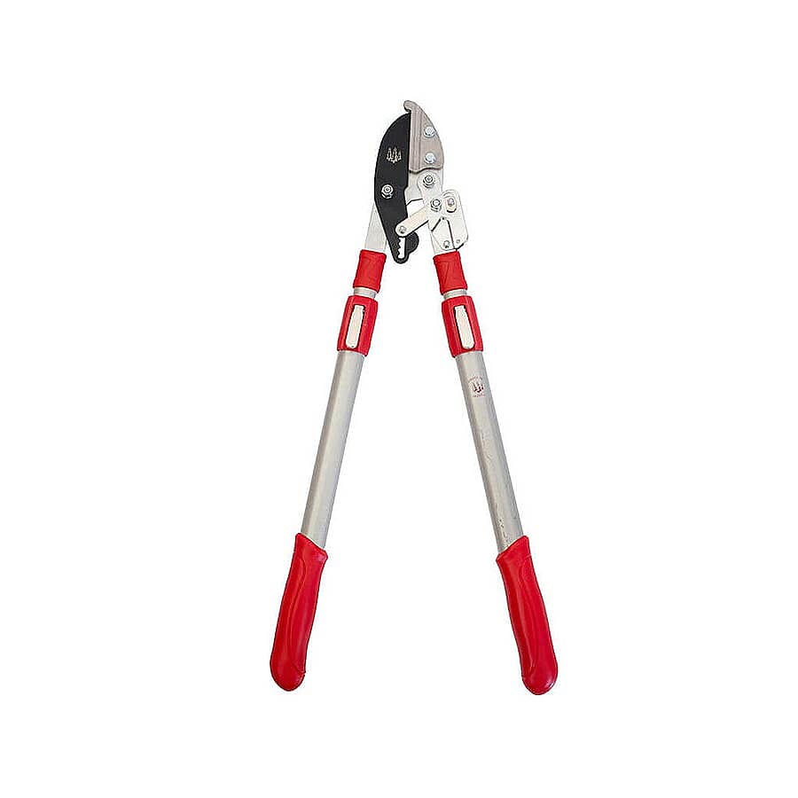 Jardin De France Lopper (Cutting up to 70 mm diameter) (L: 70-100 mm)