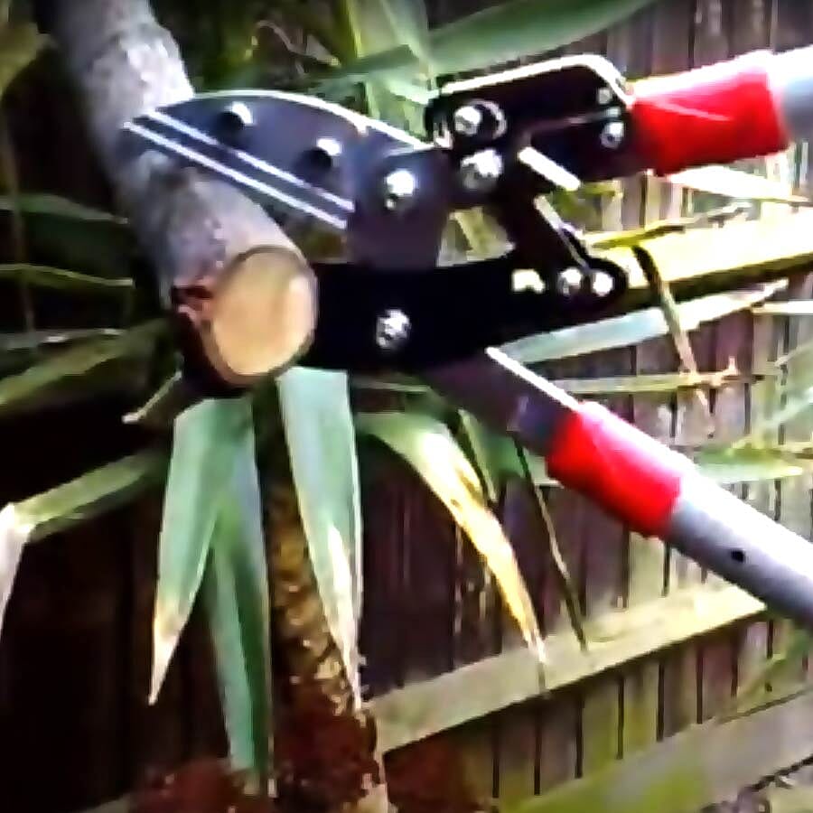 Jardin De France Lopper (Cutting up to 70 mm diameter) (L: 70-100 mm)