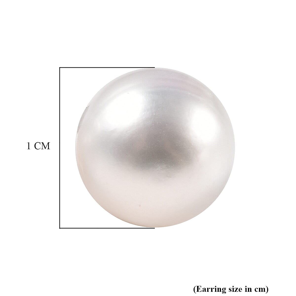 Fresh Water Pearl Stud Earrings with Push in Rhodium Overlay Sterling Silver 7.56 Ct.
