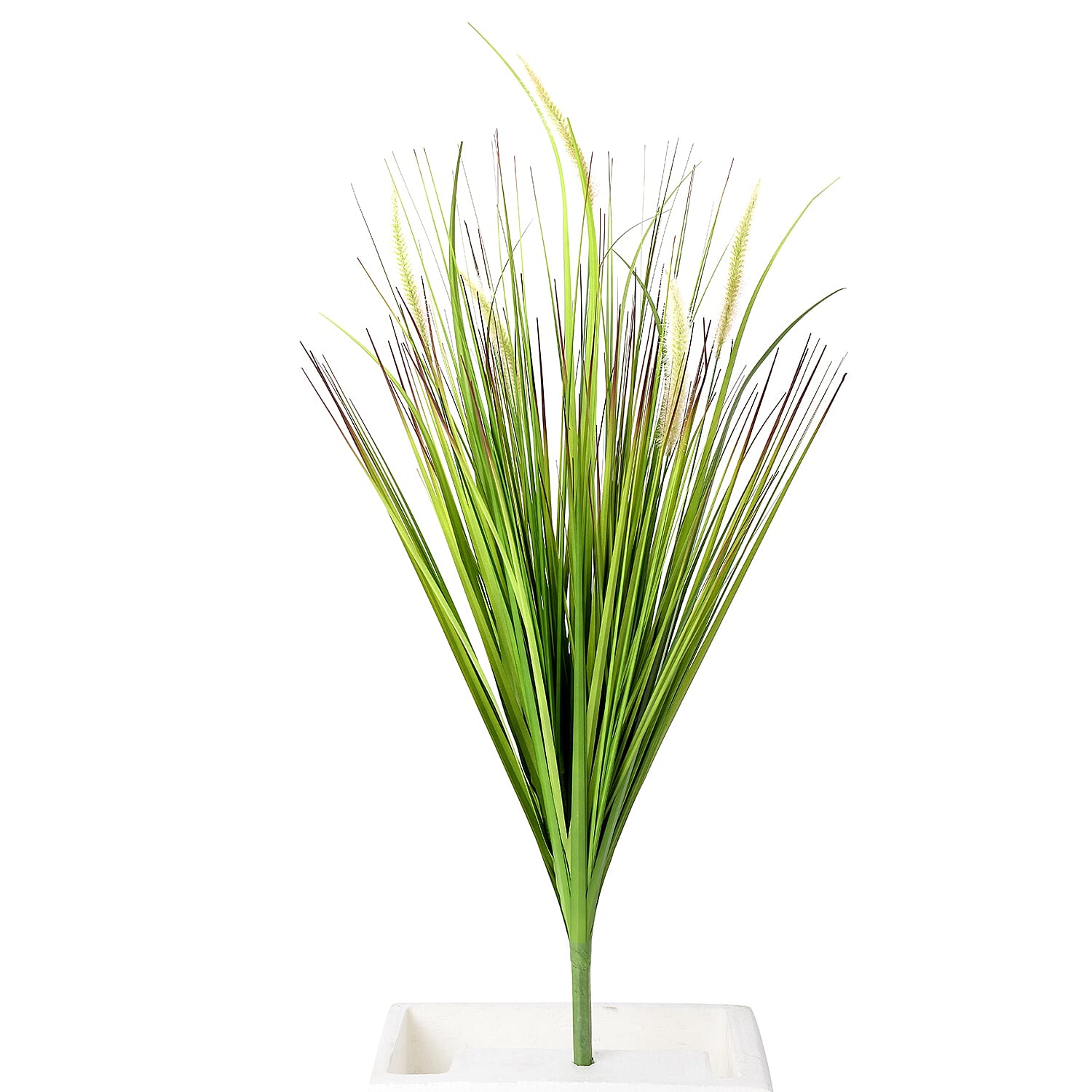 Home Decor - Artificial Setaria Viridis Grass (Size 100 Cm) - Green and Off White