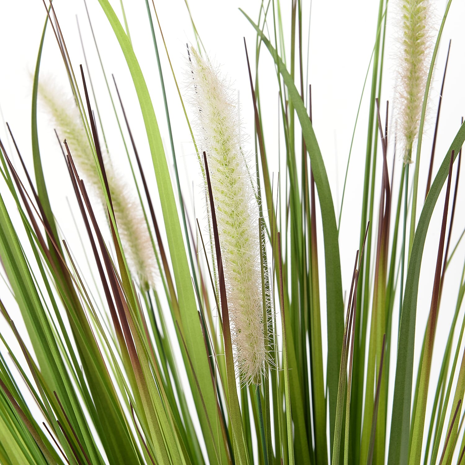 Home Decor - Artificial Setaria Viridis Grass (Size 100 Cm) - Green and Off White