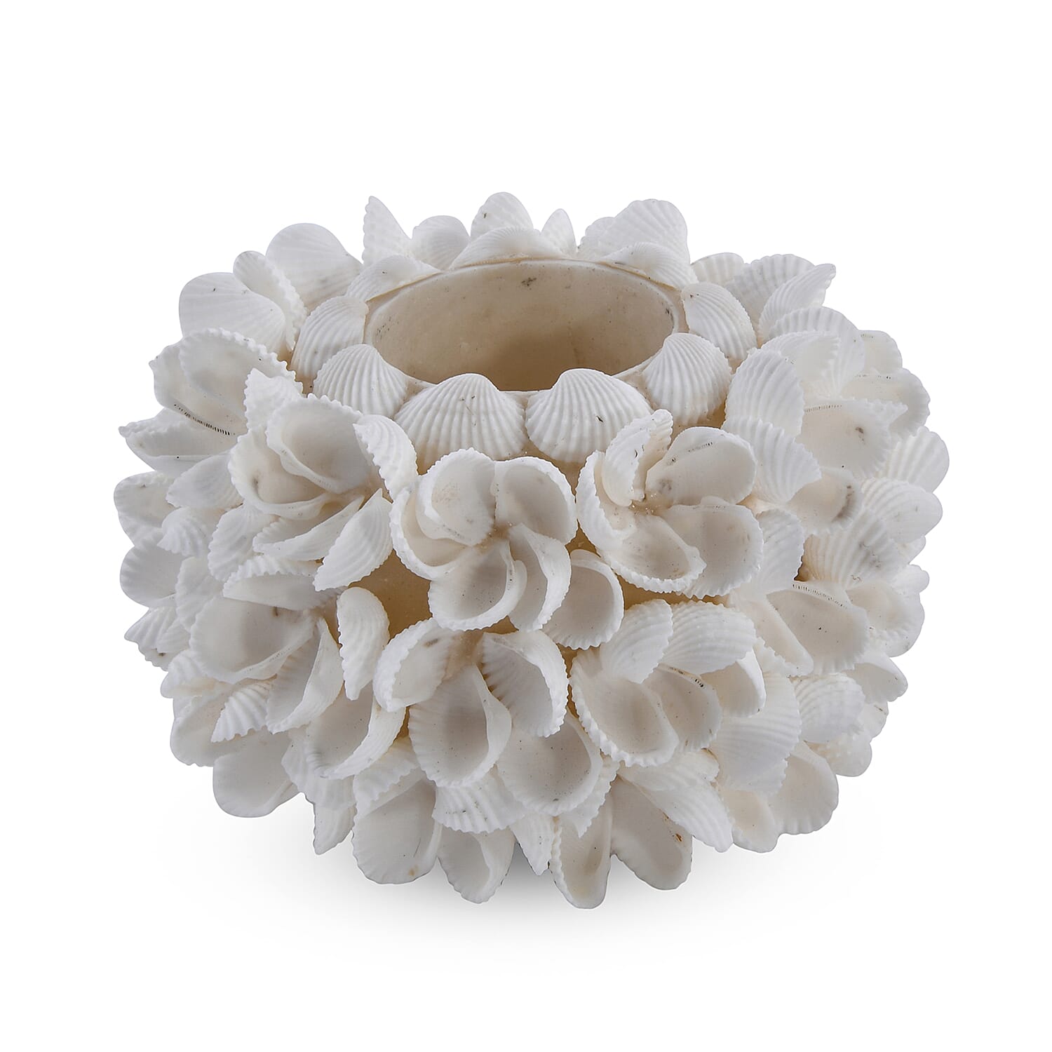Bali Collection - White Seashell Candle Holder with Frangipani Flower Pattern