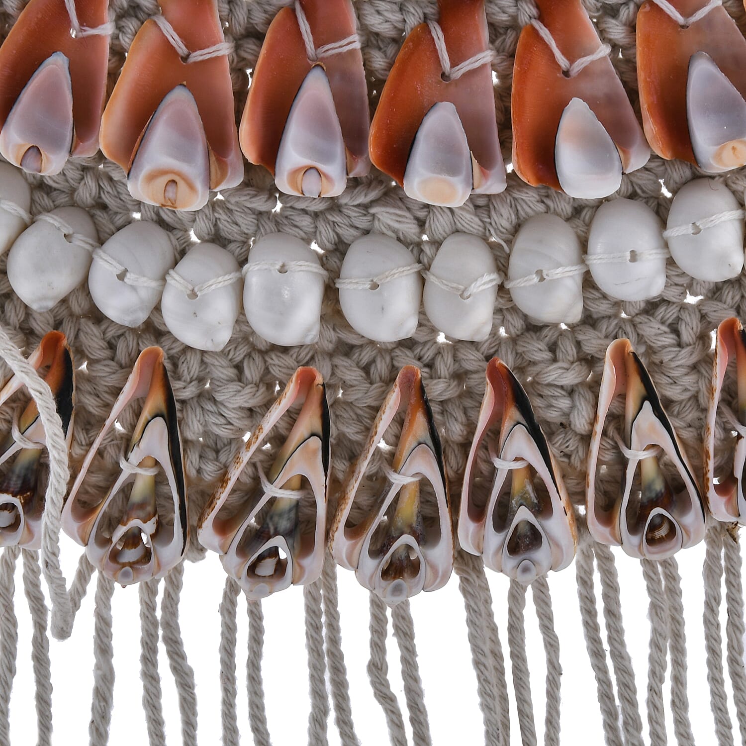 Bali Collection - Home Decor Mirror with Multicolour Seashell Frame (Size 45x30 Cm)