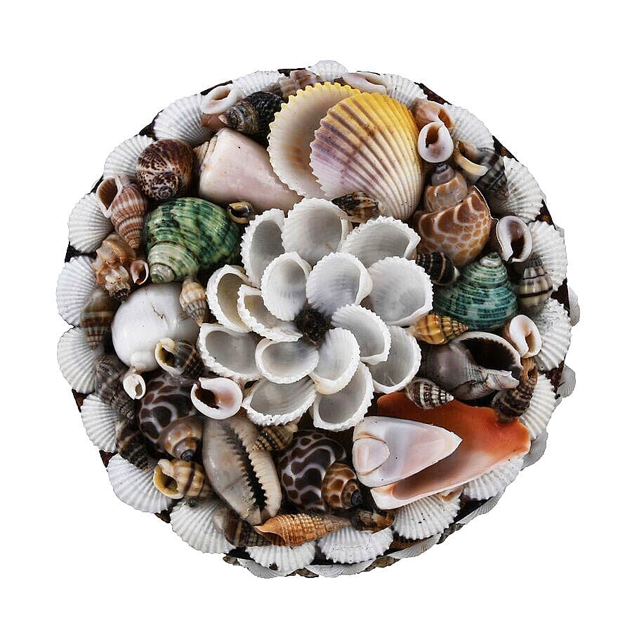 Set of 4 - Hand Crafted Round Shape Seashell Jewellery Box with Batik Fabric Inside