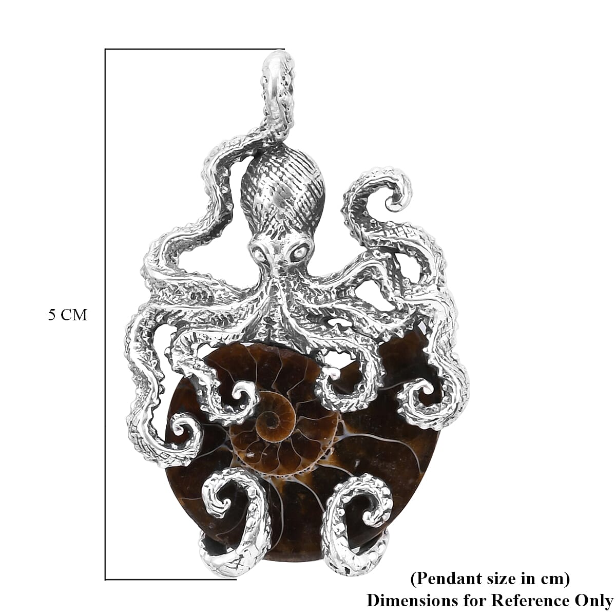 Royal Bali Collection - Ammonite Fossil Octopus Pendant in Sterling Silver, Silver wt 12.40 Gms