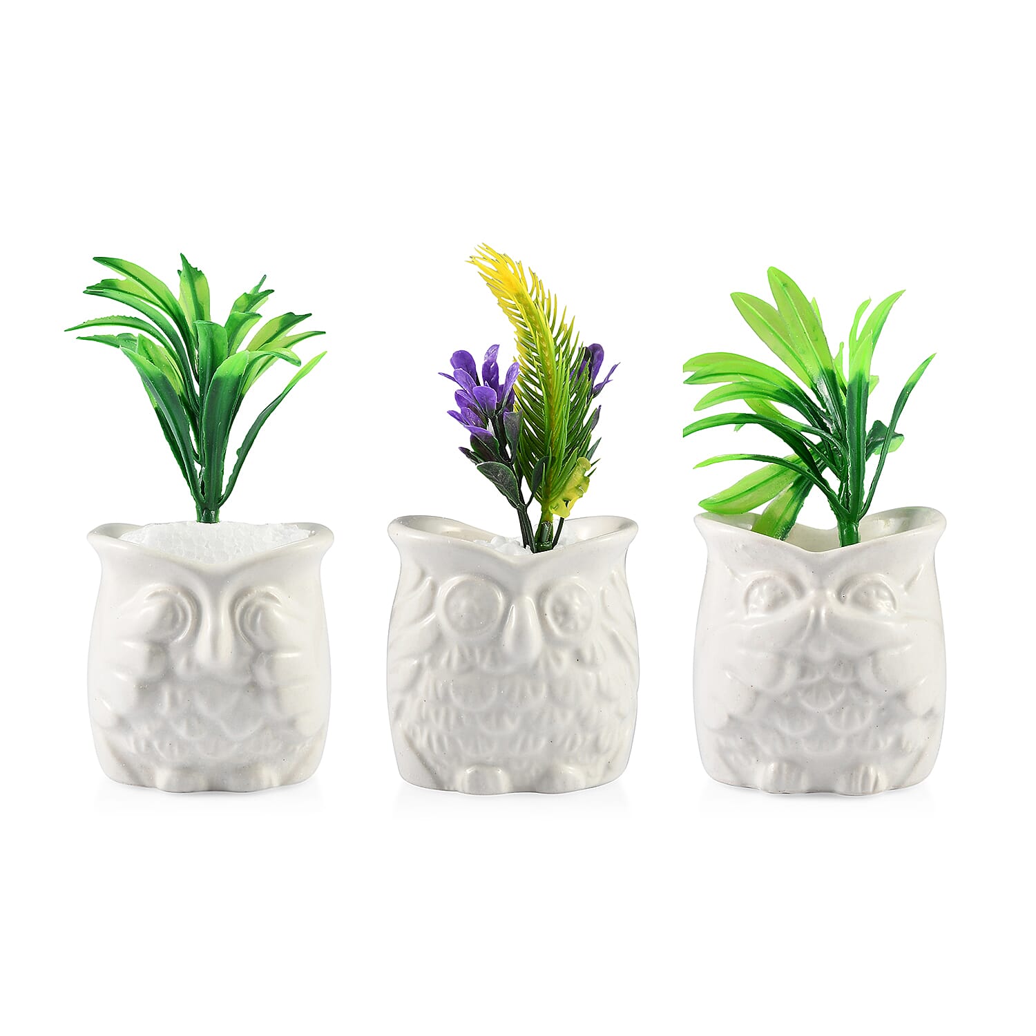 Home Decor - Set of 3 - Artificial Mini Plants in Ceramic Owl Pots (Size 6x4.5 Cm) - White