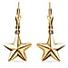 Plain Lever Back Star Earrings in Gold Plated Silver