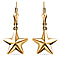 Plain Lever Back Star Earrings in Gold Plated Silver