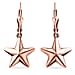 Star Drop Earrings in Rose Gold Plated Sterling Silver