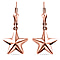Star Drop Earrings in Rose Gold Plated Sterling Silver