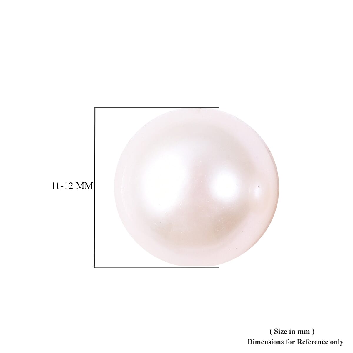 ILIANA 18K Yellow Gold AAAA Edison Pearl (Rnd 11-12 mm) Stud Earrings (with Push Back)