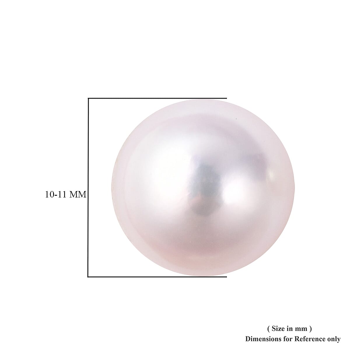 ILIANA 18K White Gold AAAA Anhui Pearl Stud Earrings (with Push Back)