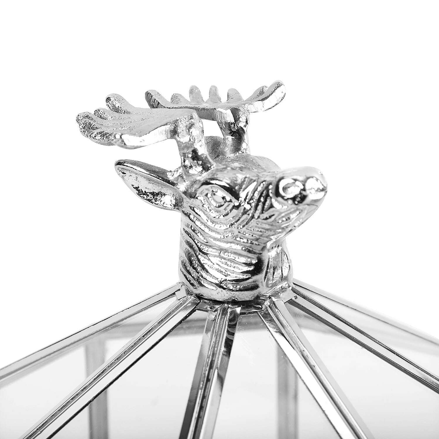 Cake Stand with Glass Lid and Moose Handle (Size 20x24x24 Cm)