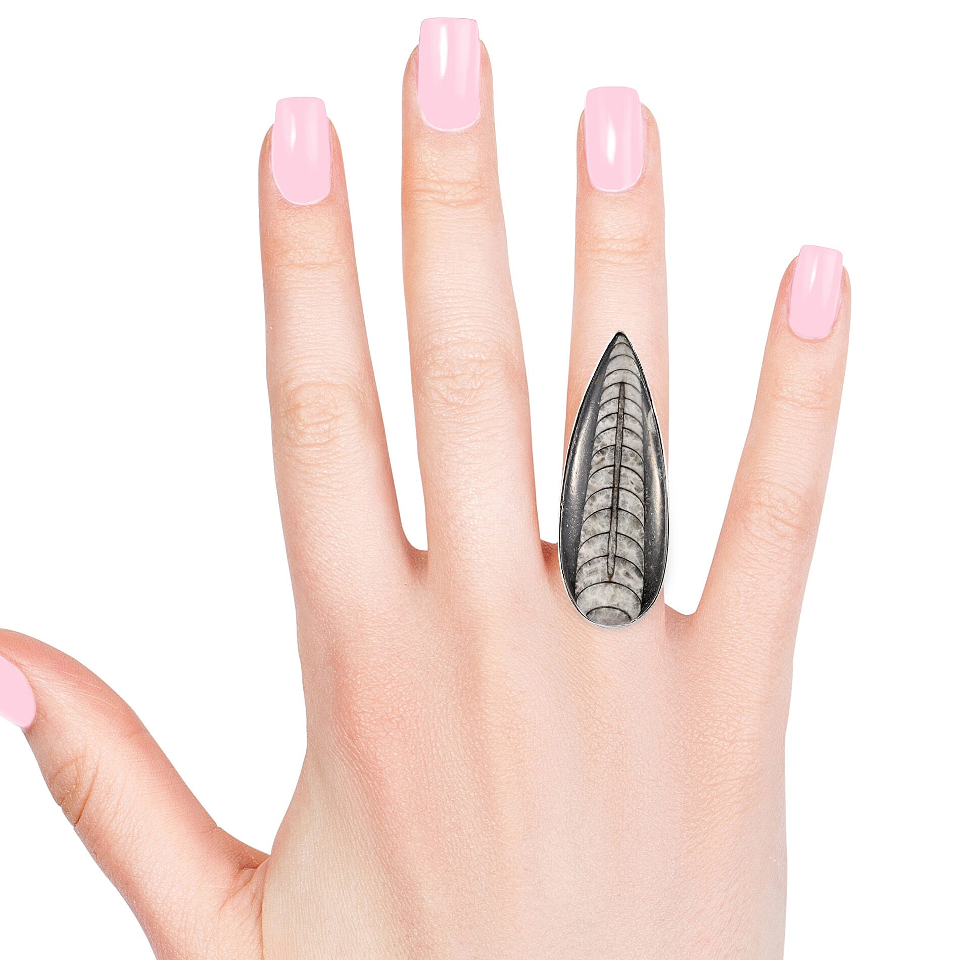 Orthoceras Solitaire Ring in Sterling Silver 47.67 Ct.