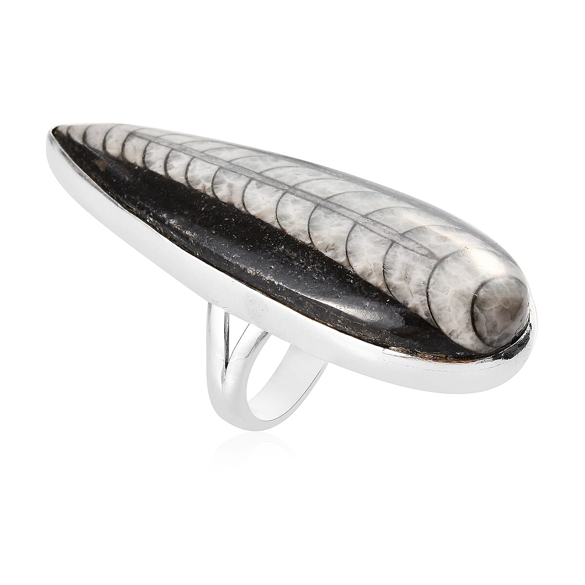 Orthoceras Solitaire Ring in Sterling Silver 47.67 Ct.