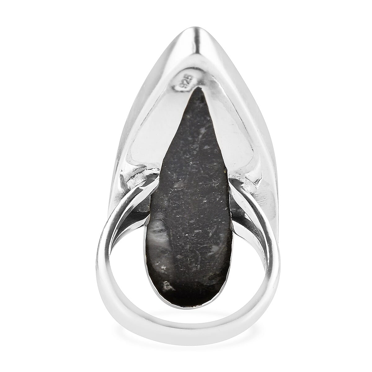 Orthoceras Solitaire Ring in Sterling Silver 47.67 Ct.