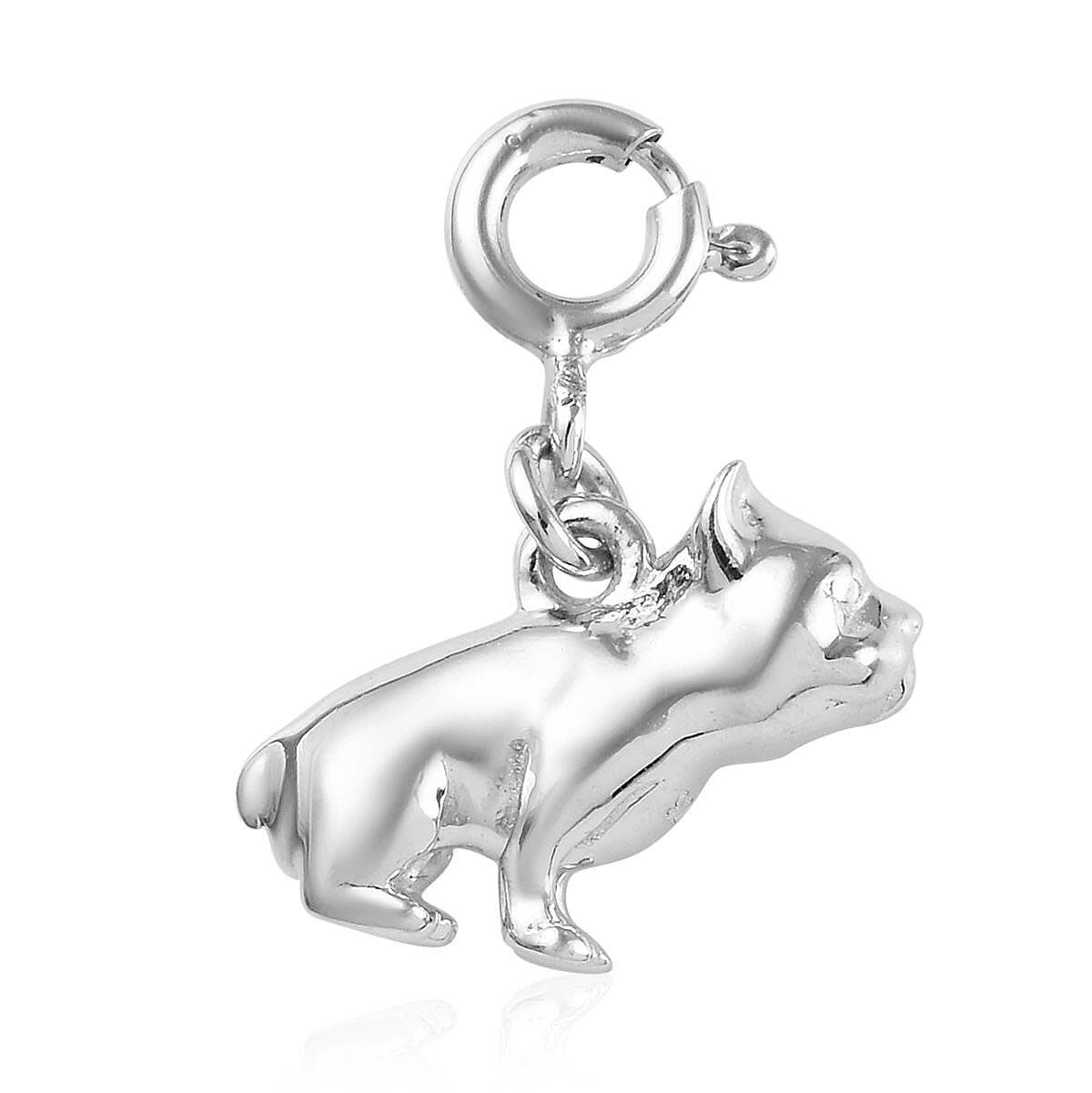 Platinum Overlay Sterling Silver Charm