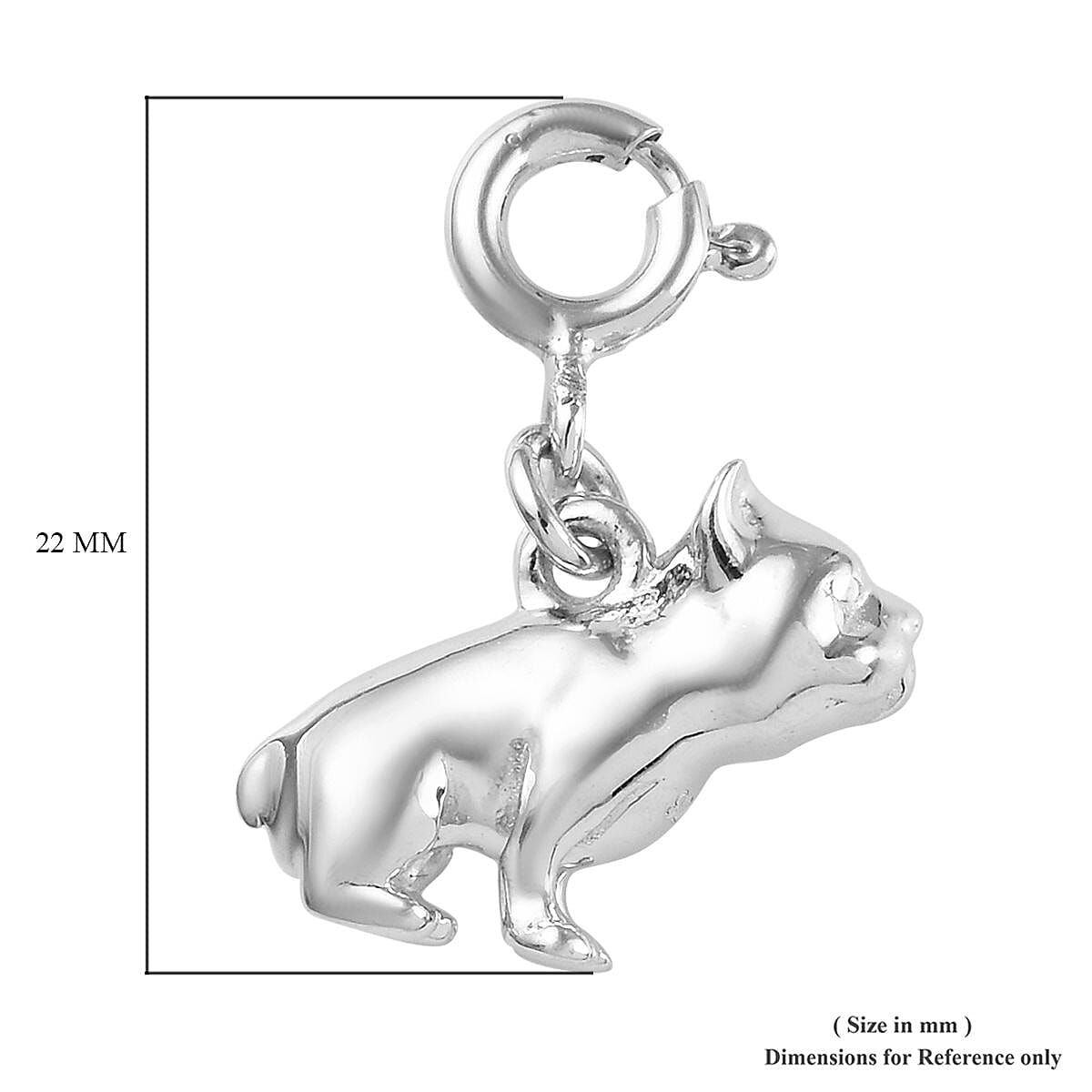 Platinum Overlay Sterling Silver Charm