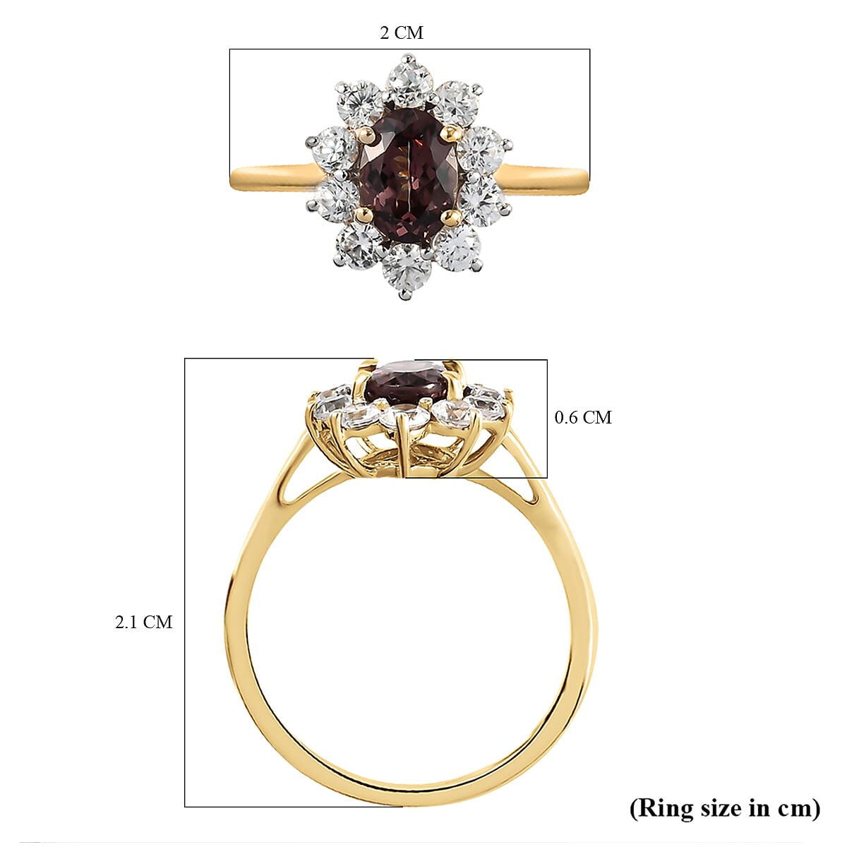Tuscon Find- 9K Yellow Gold AA Change Colour Garnet and Natural Cambodian Zircon Floral Ring 1.97 Ct.