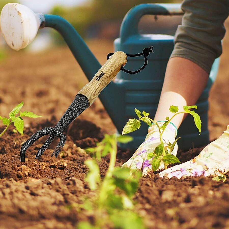 ROLSON Midi Carbon Steel Hand 3 Prong Cultivator Ash Handle