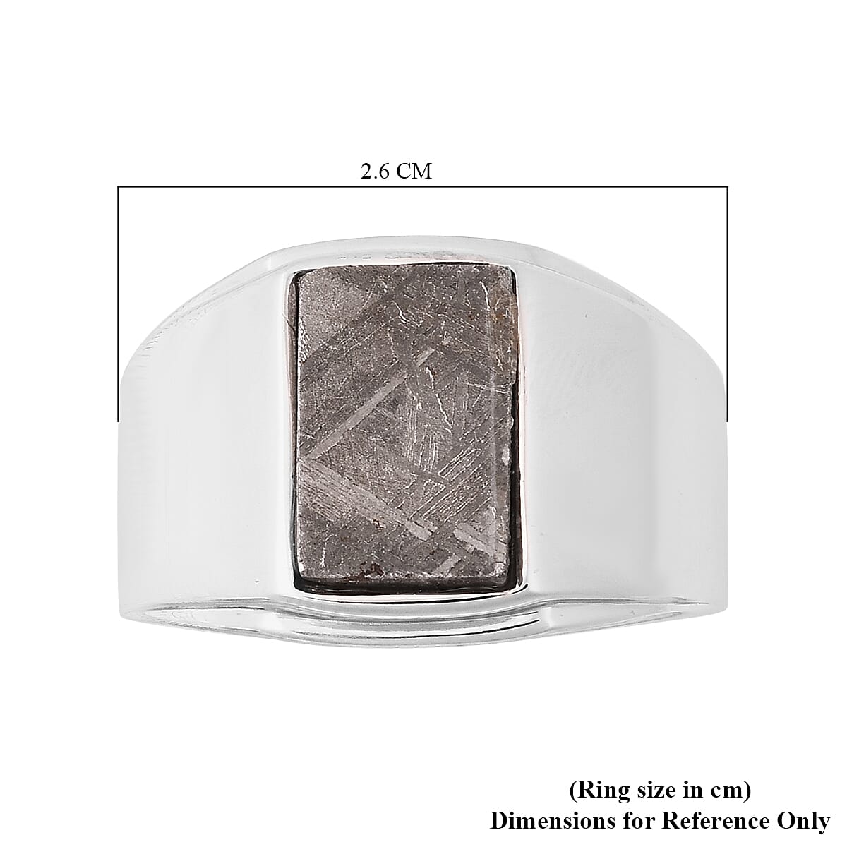 Meteorite Ring in Rhodium Overlay Sterling Silver 7.00 Ct, Silver Wt. 8.00 Gms