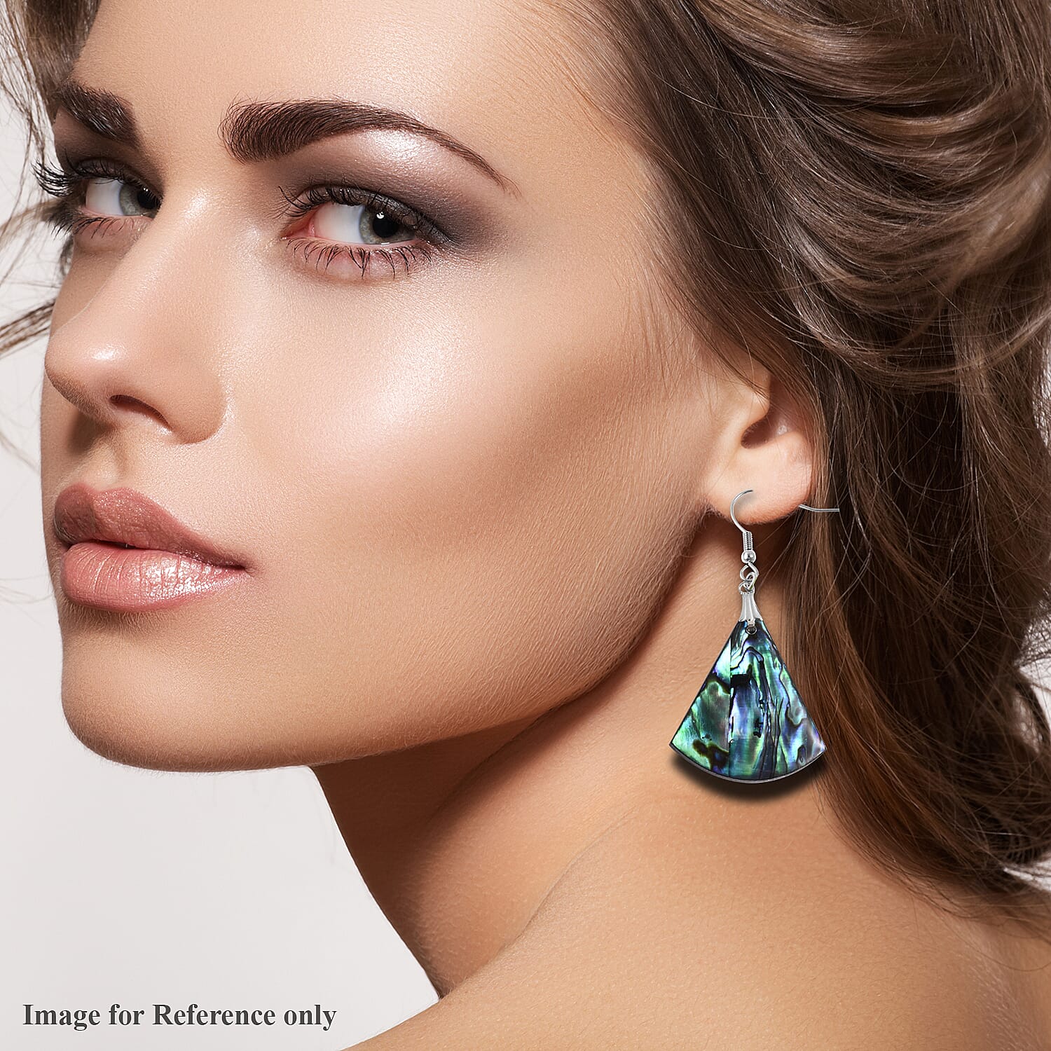 Abalone Shell Hook Earrings in Silver Tone