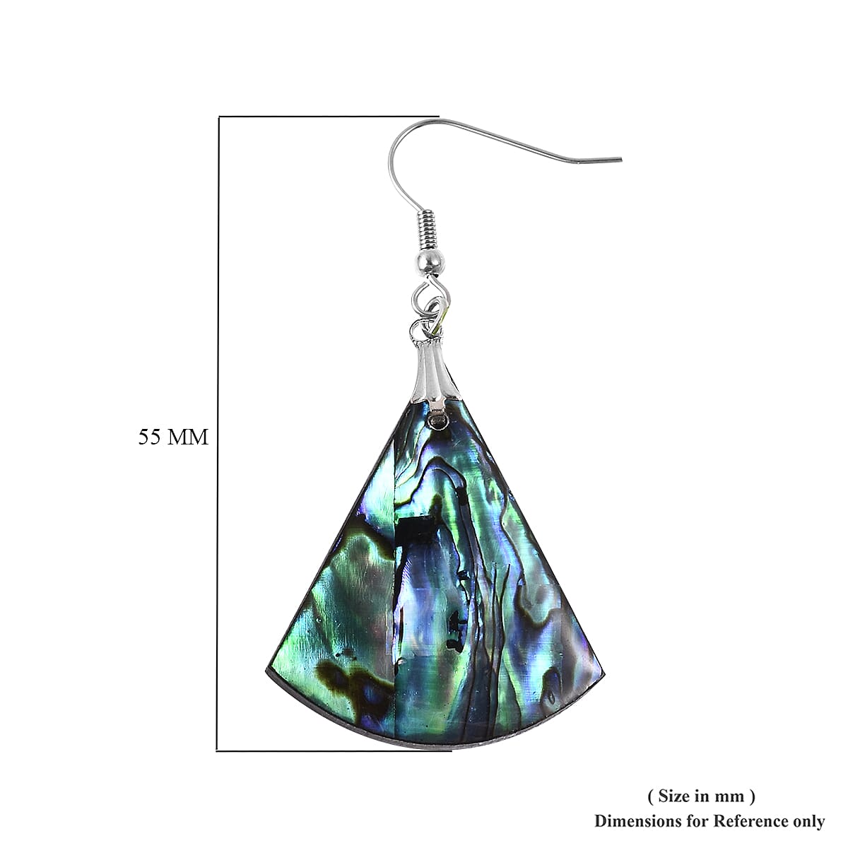 Abalone Shell Hook Earrings in Silver Tone