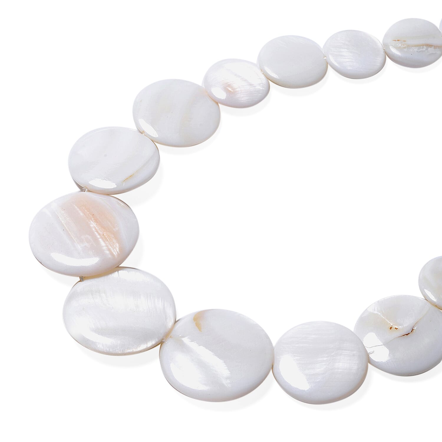 3 Piece Set - White Shell Necklace (Size 18 with 2 inch Extender), Stretchable Bracelet (Size 7) and Hook Earrings in Stainless Steel